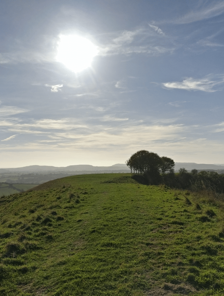 A member-supplied image of Netherbury Nature