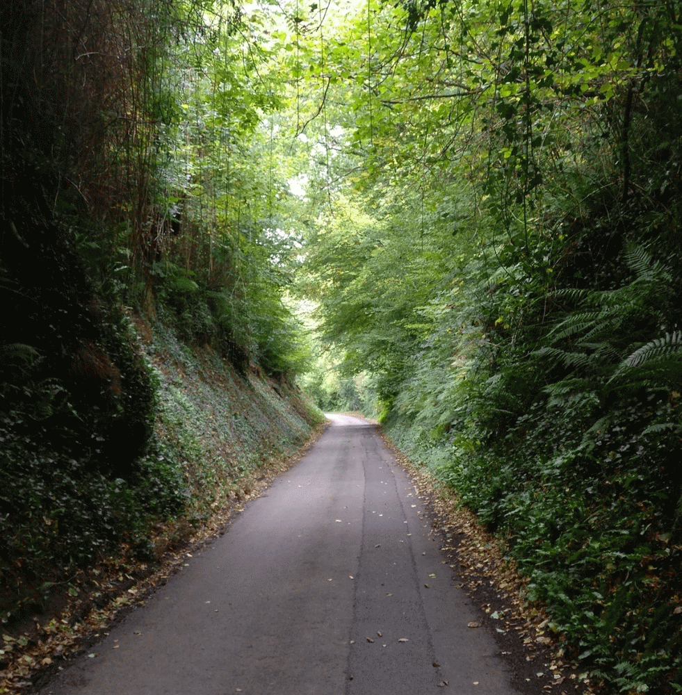 A member-supplied image of Netherbury Nature