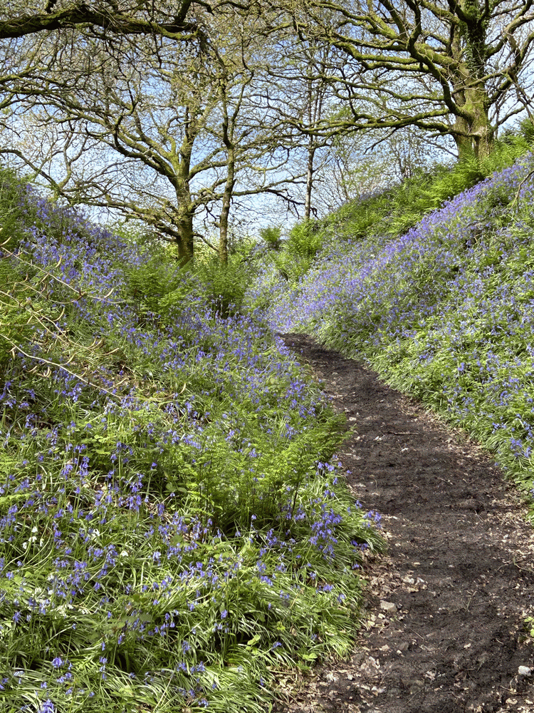A member-supplied image of Netherbury Nature
