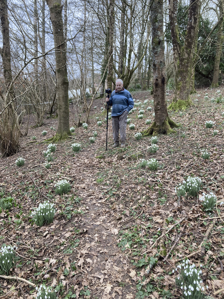 A member-supplied image of Netherbury Nature