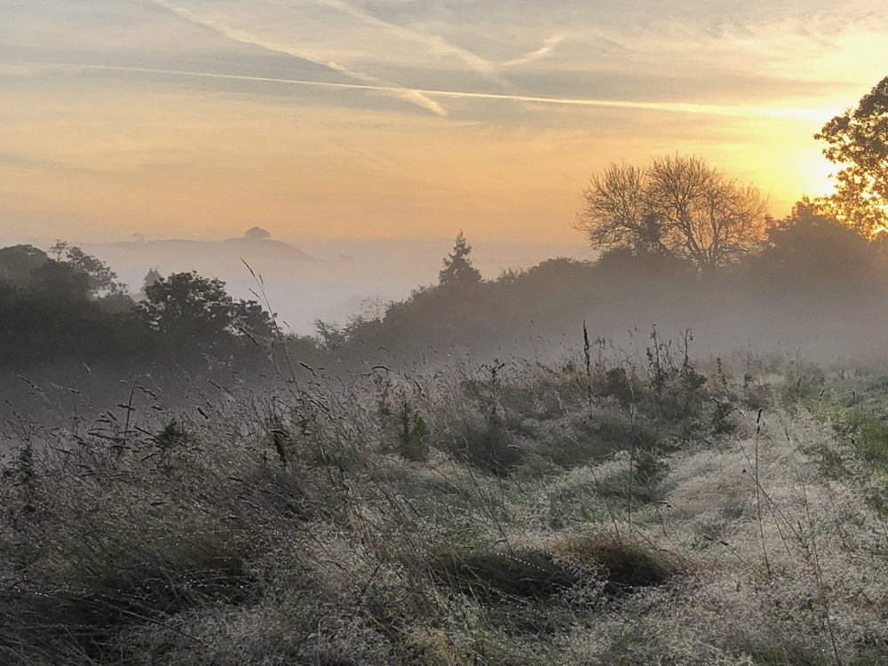 A member-supplied image of Netherbury Nature