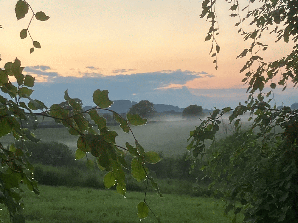 A member-supplied image of Netherbury Nature