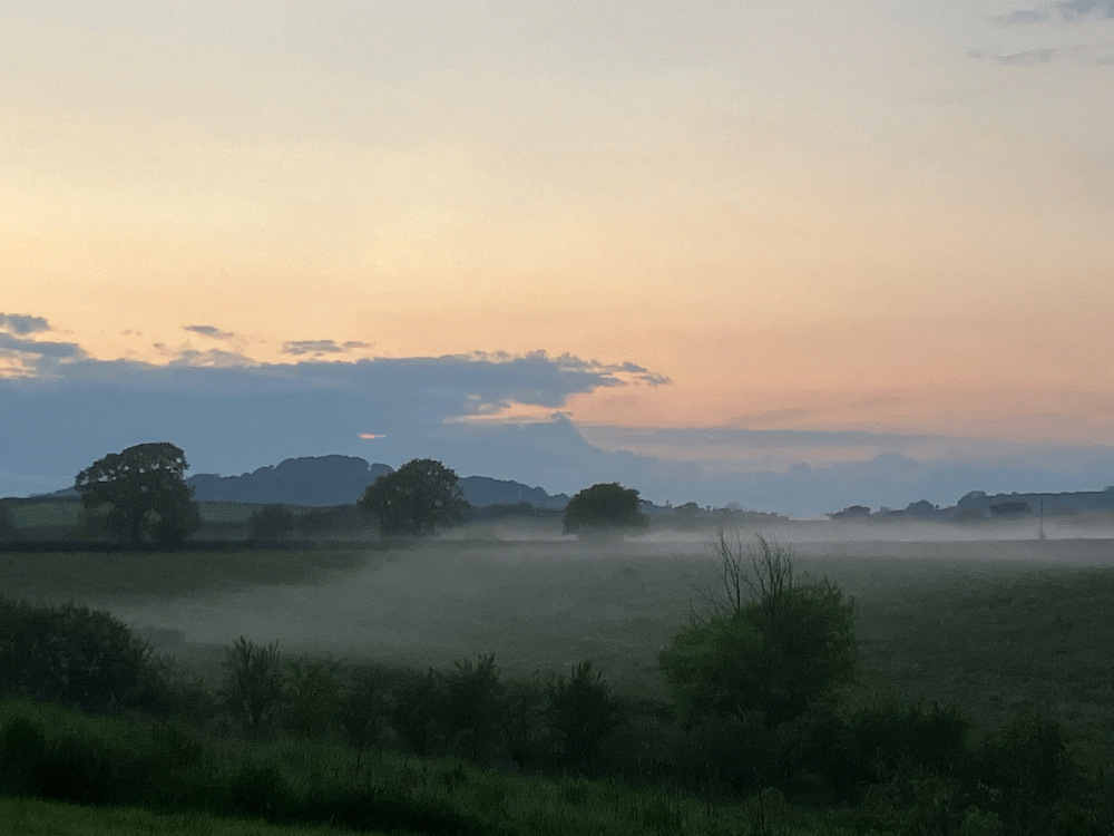 A member-supplied image of Netherbury Nature