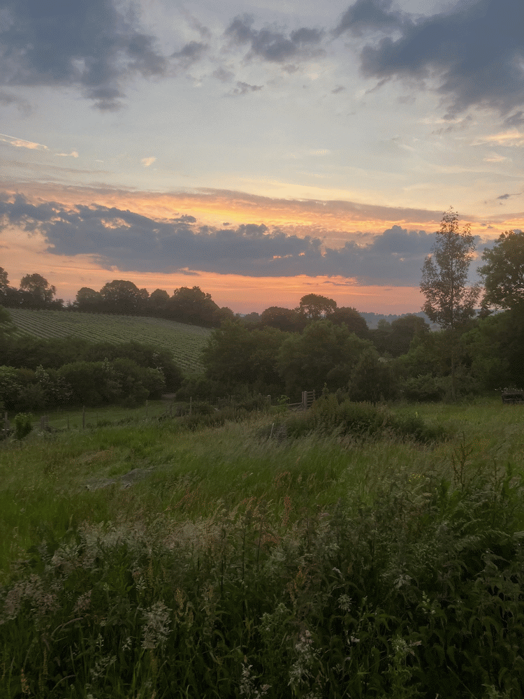 A member-supplied image of Netherbury Nature
