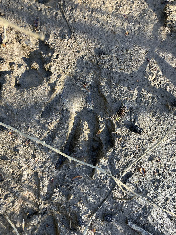 A member-supplied image of Netherbury Nature