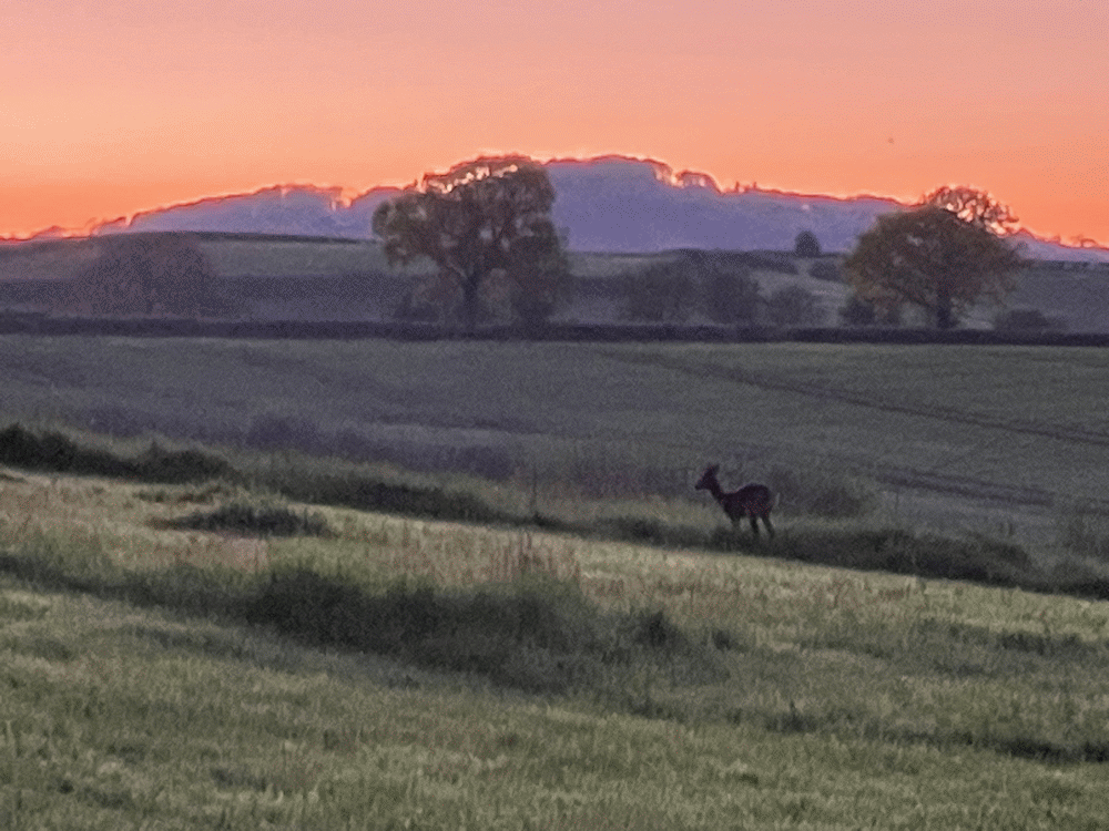 A member-supplied image of Netherbury Nature