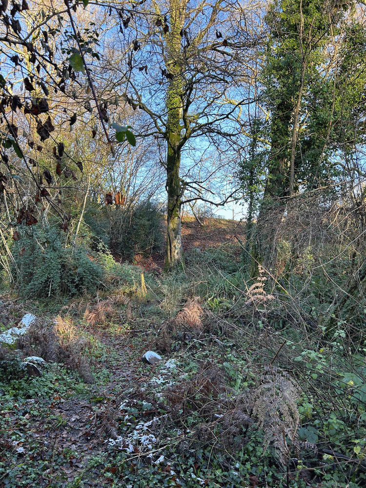 A member-supplied image of Netherbury Nature