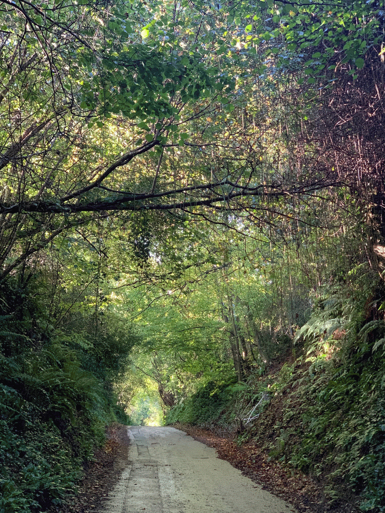 A member-supplied image of Netherbury Nature