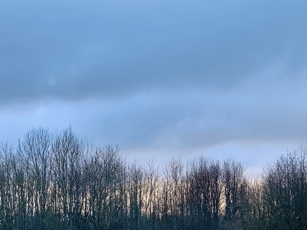A member-supplied image of Netherbury Nature